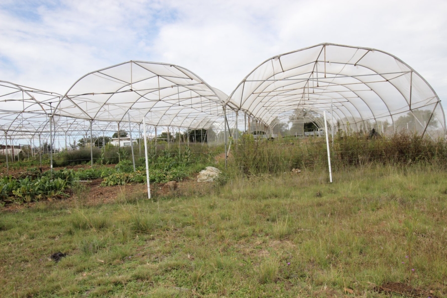 3 Bedroom Property for Sale in Lake Deneysville Free State